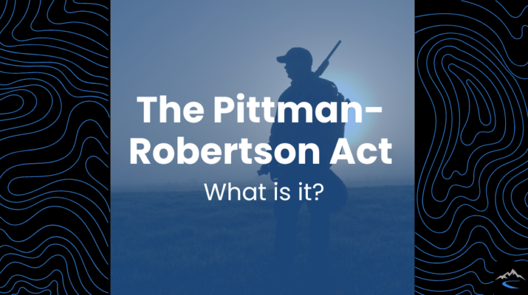 Pittman-Robertson Act