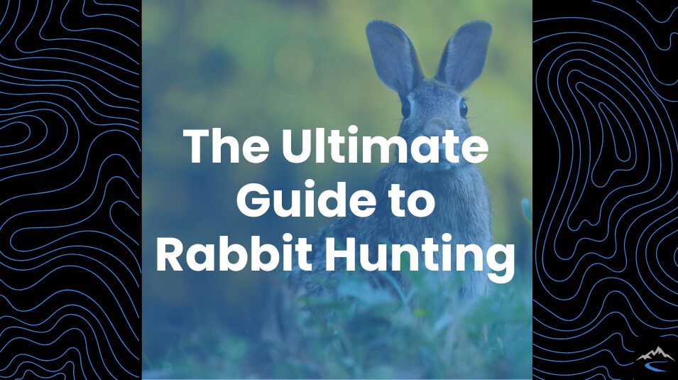 Ultimate Guide to Rabbit Hunting Header image